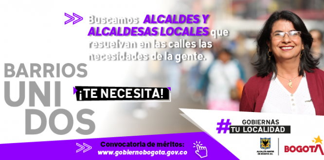 Convocatoria para la elección de alcaldes locales