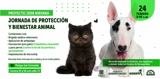 Jornada de Protección y Bienestar Animal