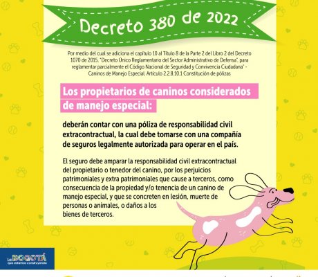 Decreto 380 de 2022