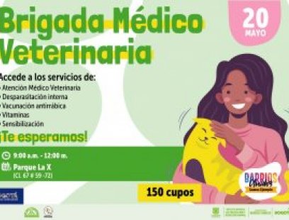 Brigada Médico Veterinaria