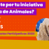 Vota por la mejor propuesta en el sector ANIMALES