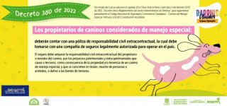 Decreto