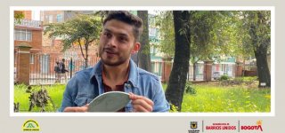 artista del mes