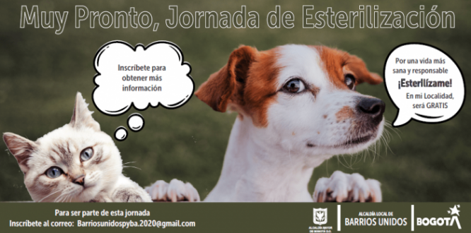 Jornada de Esterilización