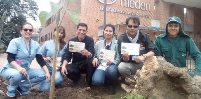 Jornada de plantación de árboles en Barrios Unidos.