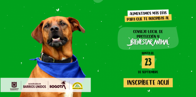 ¡Aún estás a tiempo! Inscríbete y sé parte del Consejo Local de Protección y Bienestar Animal