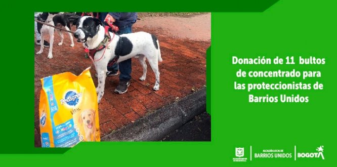 Donación de concentrado a los perritos de proteccionistas