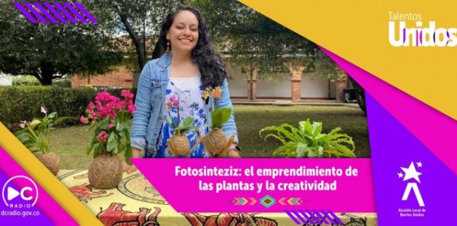 Fotosinteziz: el emprendimiento de las plantas y la creatividad