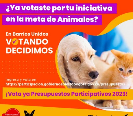 Vota por las mejores propuestas para Barrios Unidos en Presupuestos Participativos