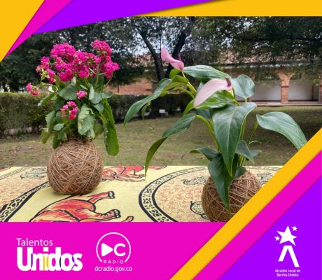 Fotosinteziz: el emprendimiento de las plantas y la creatividad
