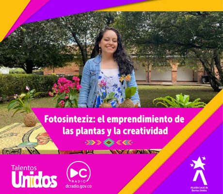 Fotosinteziz: el emprendimiento de las plantas y la creatividad