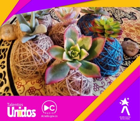 Fotosinteziz: el emprendimiento de las plantas y la creatividad