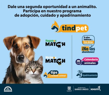 tindpet