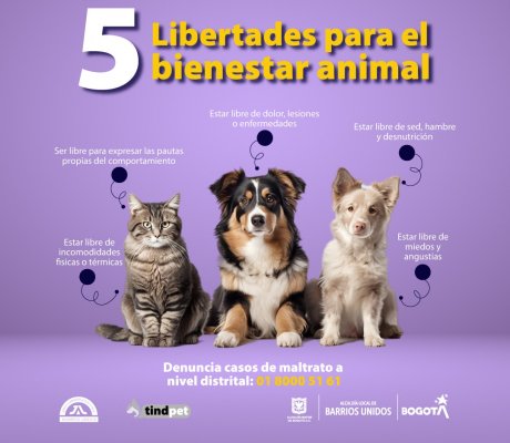 5 libertades de los animales de compañía