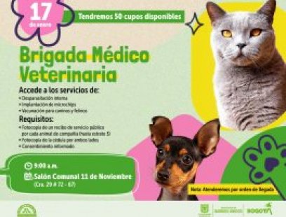 Brigada Médico Veterinaria