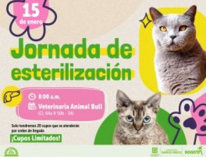 Jornada de esterilización