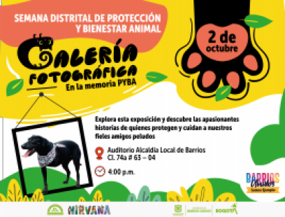 Galería Fotográfica en la memoria PYBA