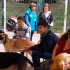 Jornada de protección y bienestar animal en el barrio Rionegro