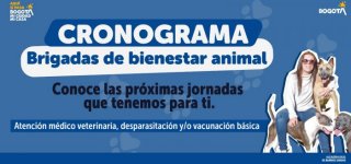 Barrios Unidos promueve el bienestar animal con jornadas médico veterinarias gratuitas